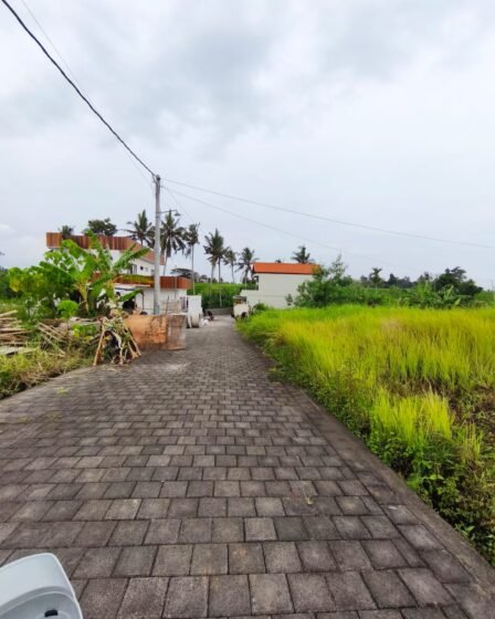 Dijual Tanah Kavling 1,25 Are di Yeh Gangga, Desa Gubug Tabanan Lingkungan Vila & Dekat Pantai Love Beach 2