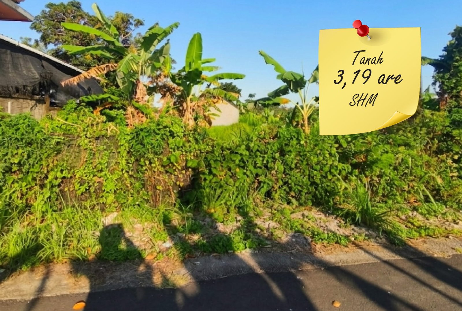 Dijual Tanah Strategis 319m² di dekat Jl. Dr. Ir Soekarno Dauh Peken Tabanan – Bebas Banjir, Lokasi Premium Dekat Fasum 3