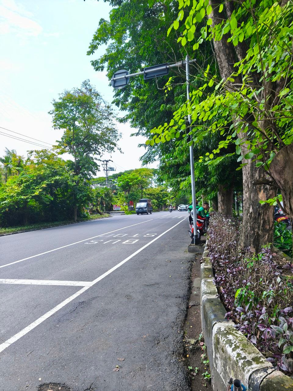 Disewakan Kios di Lokasi Premium Renon Denpasar Timur Jl. Cok Agung Tresna – 4,5 x 13 Meter, Parkir Luas, Siap Pakai 3