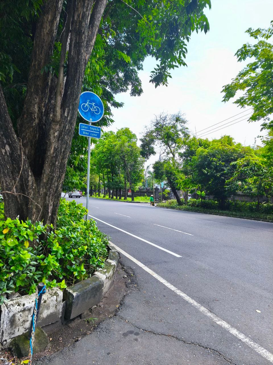 Disewakan Kios di Lokasi Premium Renon Denpasar Timur Jl. Cok Agung Tresna – 4,5 x 13 Meter, Parkir Luas, Siap Pakai 3