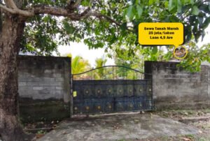 Disewakan Tanah Murah di Tabanan Bali 4,5 Are Akses 2 Mobil 1