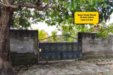 Disewakan Tanah Murah di Tabanan Bali 4,5 Are Akses 2 Mobil 1