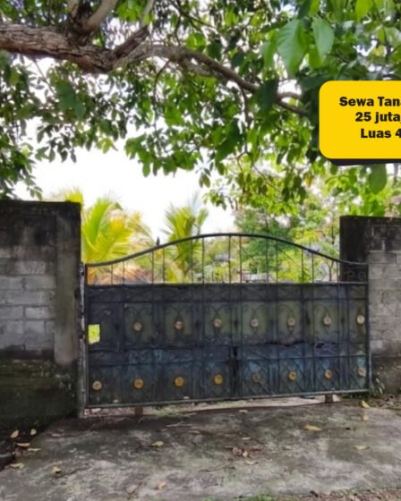 Disewakan Tanah Murah di Tabanan Bali 4,5 Are Akses 2 Mobil 1