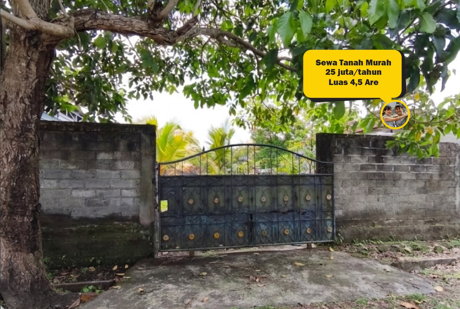 Disewakan Tanah Murah di Tabanan Bali 4,5 Are Akses 2 Mobil 1