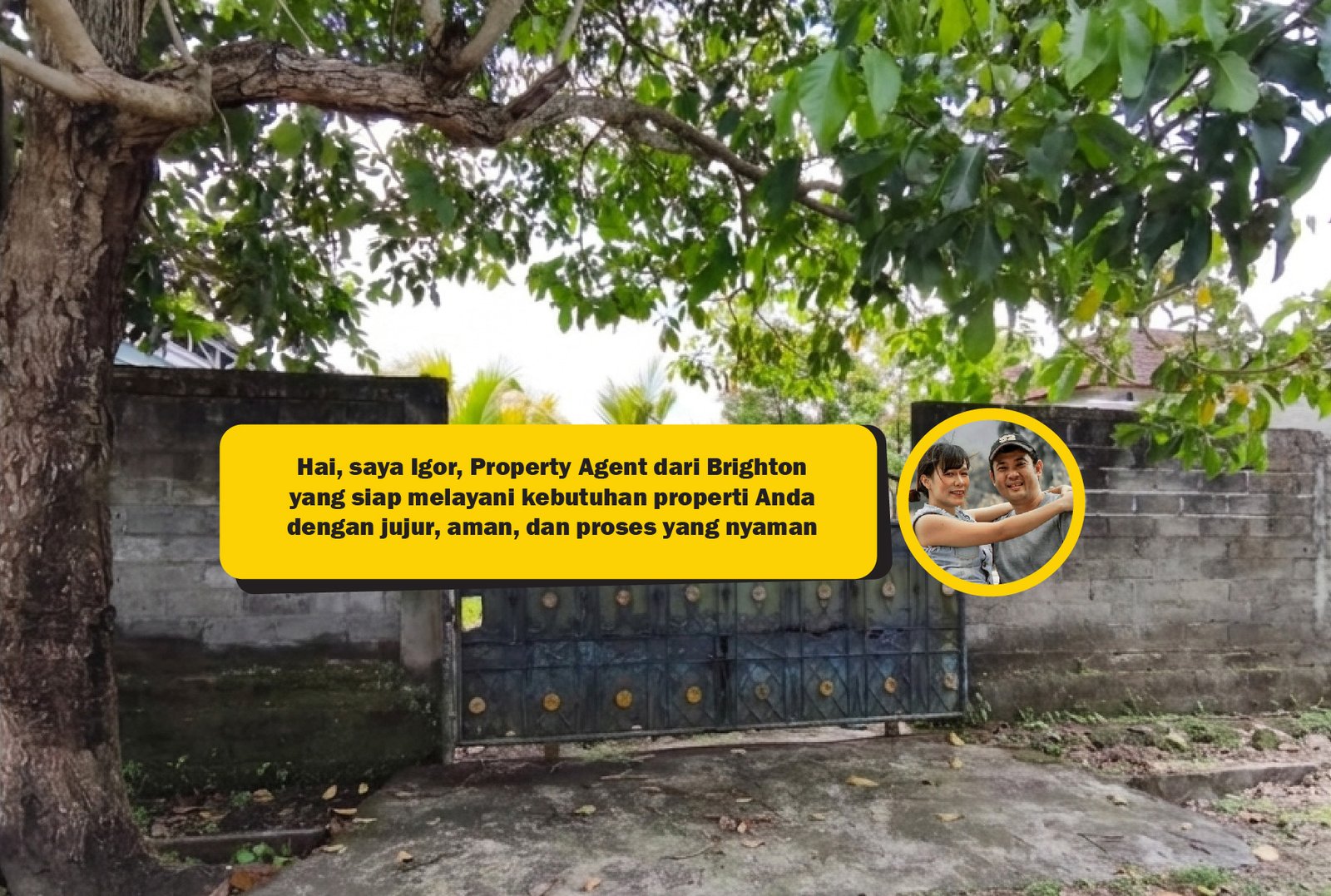 Disewakan Tanah Murah di Tabanan Bali 4,5 Are Akses 2 Mobil 2