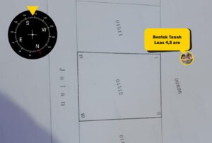 Disewakan Tanah Murah di Tabanan Bali 4,5 Are Akses 2 Mobil 4