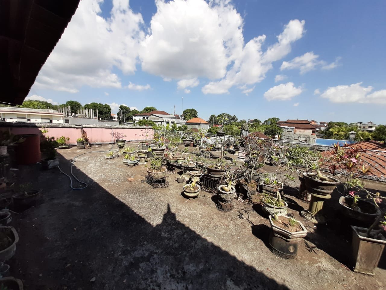 Jual Rumah Luas 5 Are di Jl Pulau We Tabanan Ideal untuk Hunian atau Guest House 2