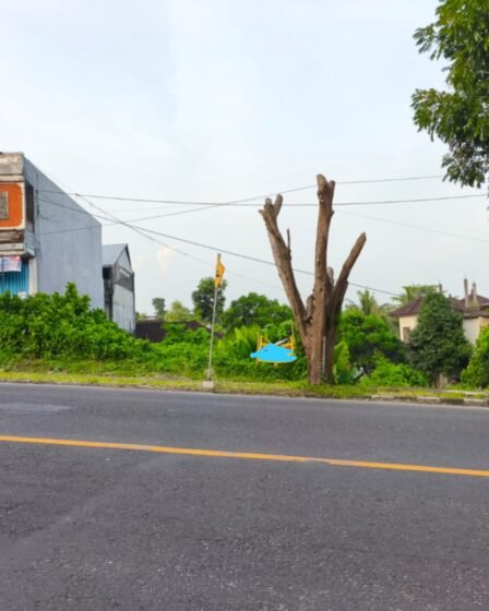 Jual Tanah 9 Are Pinggir Jalan Dr. Ir. Soekarno (By Pass Kediri) Dauh Peken Kediri Tabanan, Bali – Lokasi Strategis untuk Investasi & Pengembangan Bisnis