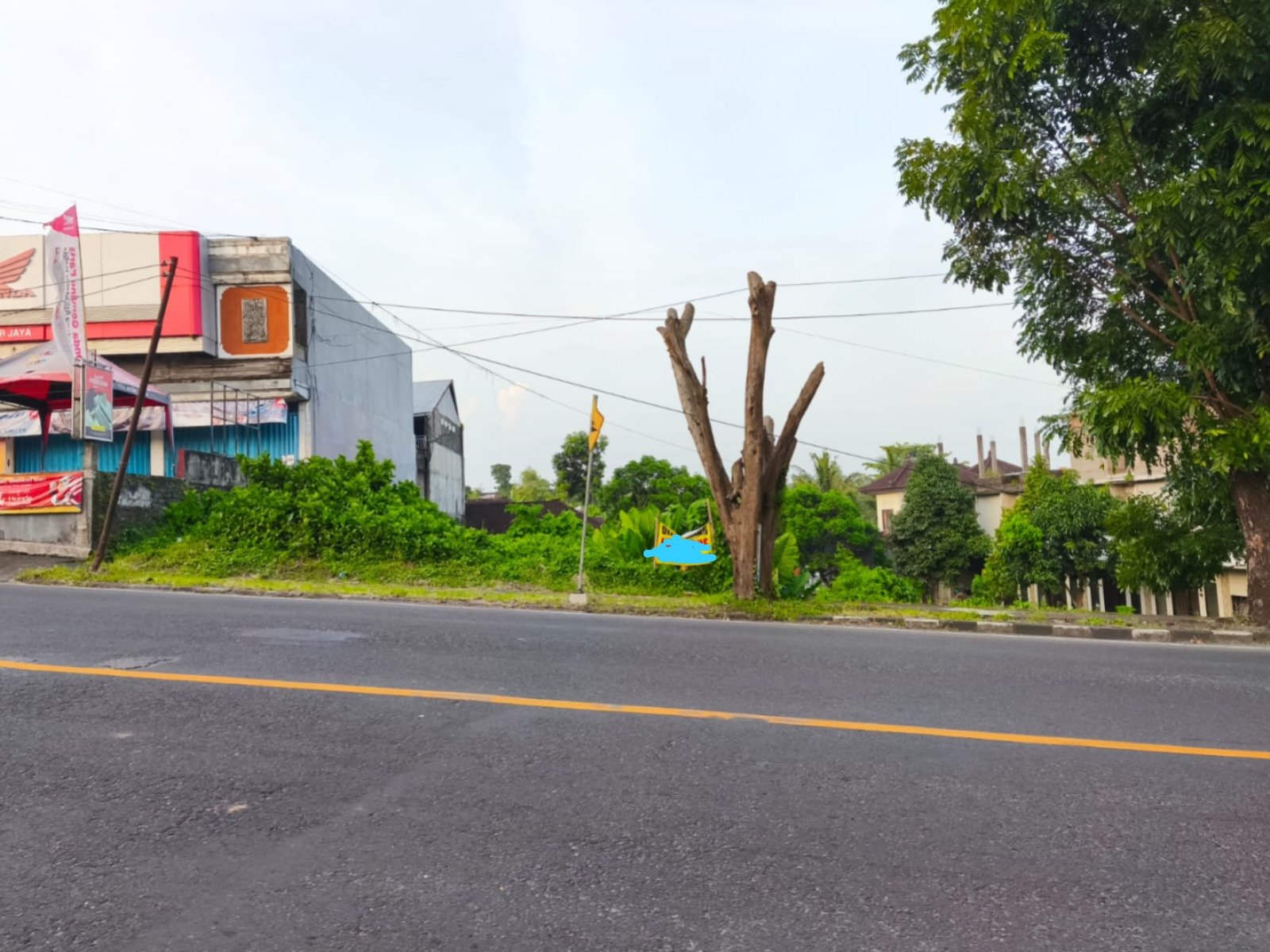 Jual Tanah 9 Are Pinggir Jalan Dr. Ir. Soekarno (By Pass Kediri) Dauh Peken Kediri Tabanan, Bali – Lokasi Strategis untuk Investasi & Pengembangan Bisnis