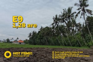 Jual Tanah Kavling Murah di Bali Tabanan - hanya 10 kavling, bebas banjir, view sawah dan pohon kelapa yang indah