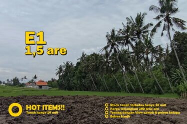 Jual Tanah Kavling Murah di Bali Tabanan - hanya 10 kavling, bebas banjir, view sawah dan pohon kelapa yang indah E1 1