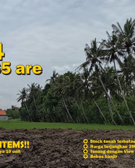 Jual Tanah Kavling Murah di Bali Tabanan - hanya 10 kavling, bebas banjir, view sawah dan pohon kelapa yang indah E4 1