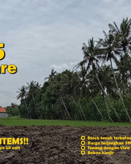 Jual Tanah Kavling Murah di Bali Tabanan - hanya 10 kavling, bebas banjir, view sawah dan pohon kelapa yang indah E5 1