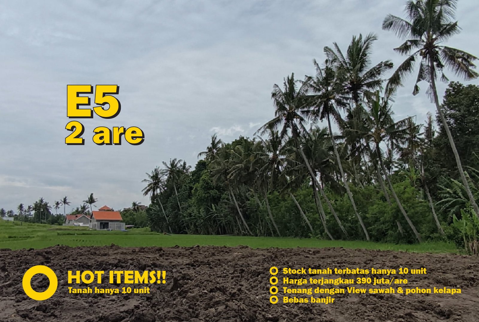 Jual Tanah Kavling Murah di Bali Tabanan - hanya 10 kavling, bebas banjir, view sawah dan pohon kelapa yang indah E5 1