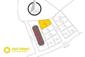 Jual Tanah Kavling Murah di Bali Tabanan - hanya 10 kavling, bebas banjir, view sawah dan pohon kelapa yang indah E5 2