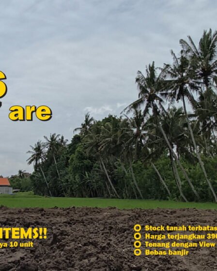 Jual Tanah Kavling Murah di Bali Tabanan - hanya 10 kavling, bebas banjir, view sawah dan pohon kelapa yang indah E6 1