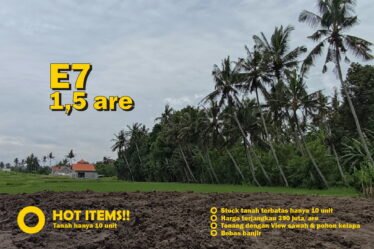 Jual Tanah Kavling Murah di Bali Tabanan - hanya 10 kavling, bebas banjir, view sawah dan pohon kelapa yang indah E7 1