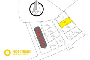 Jual Tanah Kavling Murah di Bali Tabanan - hanya 10 kavling, bebas banjir, view sawah dan pohon kelapa yang indah E7 2