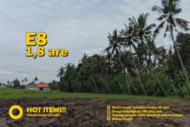 Jual Tanah Kavling Murah di Bali Tabanan - hanya 10 kavling, bebas banjir, view sawah dan pohon kelapa yang indah E8 1