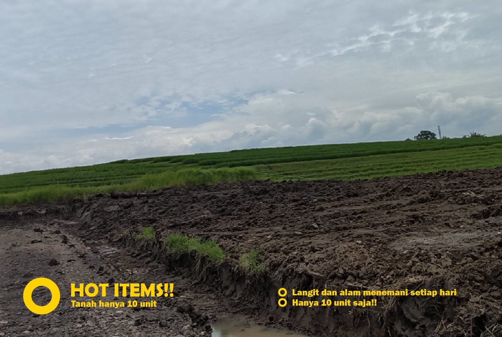 Jual Tanah Kavling Murah di Bali Tabanan view alam sawah dan langit biru yang indah