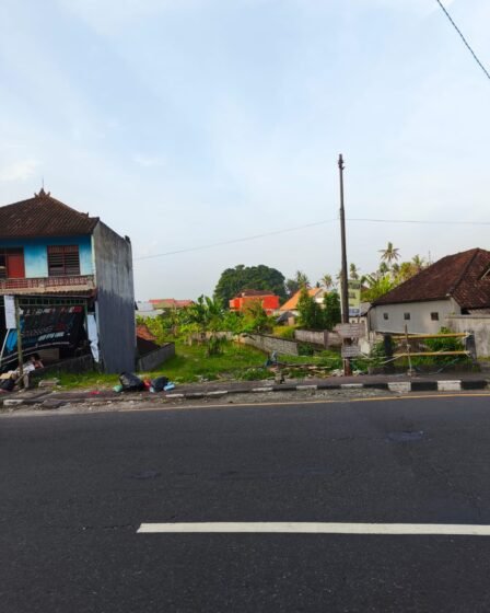 Jual Tanah, Mengwitani, Mengwi, Badung, Investasi Properti, Lahan Komersial, Jalur Provinsi
