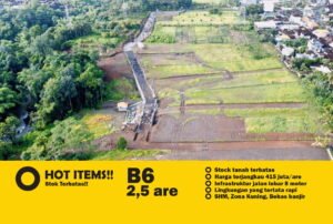 Jual Tanah Murah Bali 415 Juta AreZona Kuning Tabanan Kavling B6 & B7 1