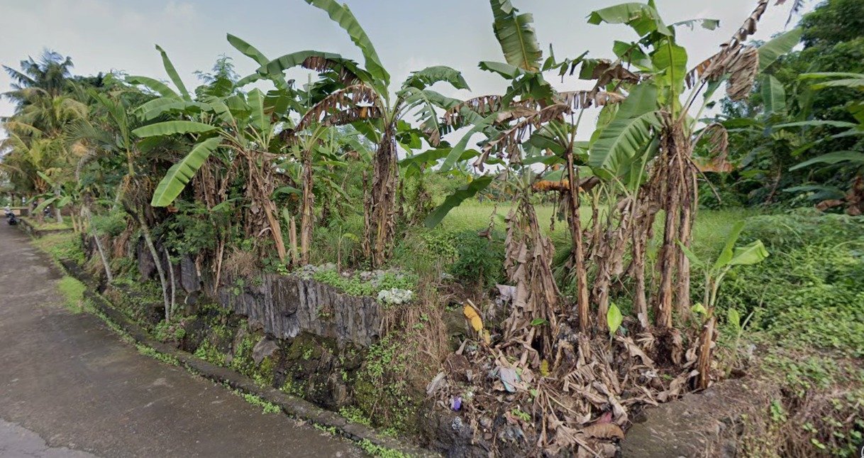 Dijual Tanah Kavling Asri 6 Are di Desa Wisata Bongan Tabanan – Cocok Villa & Slow Living