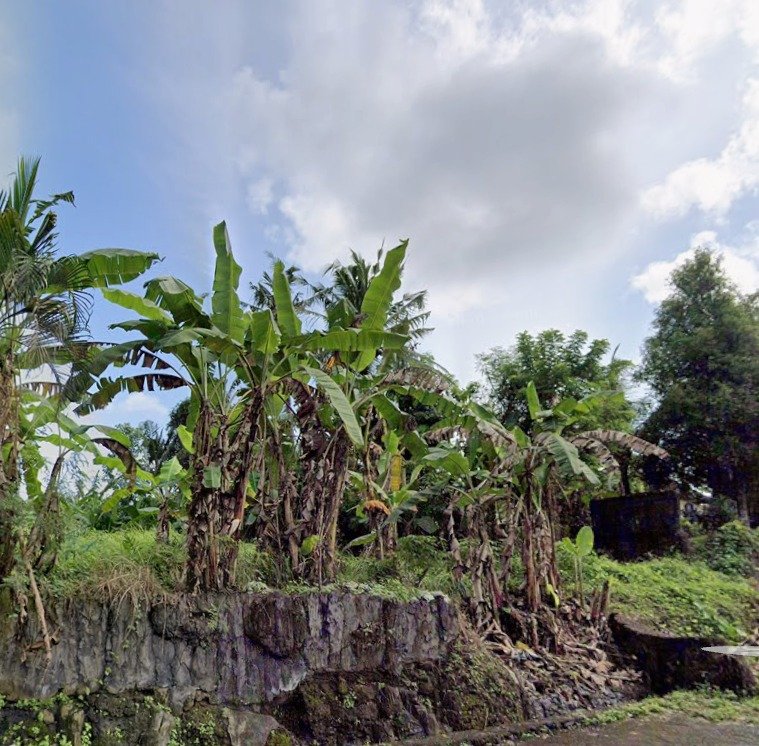 Dijual Tanah Kavling Asri 6 Are di Desa Wisata Bongan Tabanan – Cocok Villa & Slow Living