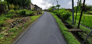 Dijual Tanah Kavling Asri 6 Are di Desa Wisata Bongan Tabanan – Cocok Villa & Slow Living