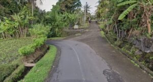 Dijual Tanah Kavling Asri 6 Are di Desa Wisata Bongan Tabanan – Cocok Villa & Slow Living