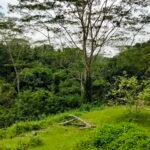 2.5 Hectares Premium Land with River, Forest & Waterfall Views – Ubud Area