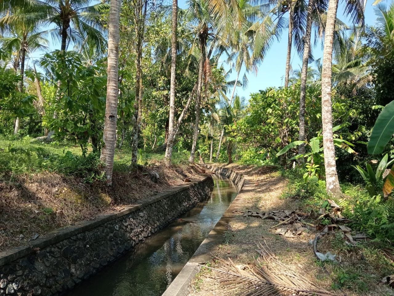 DIJUAL TANAH 59,25 ARE PINGGIR JALAN HOTMIX DEKAT PANTAI BALIAN, TABANAN