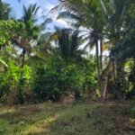 DIJUAL TANAH KEBUN MURAH 98 ARE DEKAT PANTAI – SELEMADEG BARAT, TABANAN, BALI