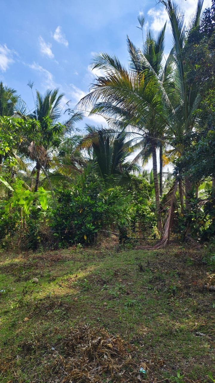 DIJUAL TANAH KEBUN MURAH 98 ARE DEKAT PANTAI – SELEMADEG BARAT, TABANAN, BALI