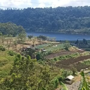 Lahan View Spektakuler 1,5 Hektar Dijual di Dasong Pancasari Bedugul – Rp 150 Juta/Are