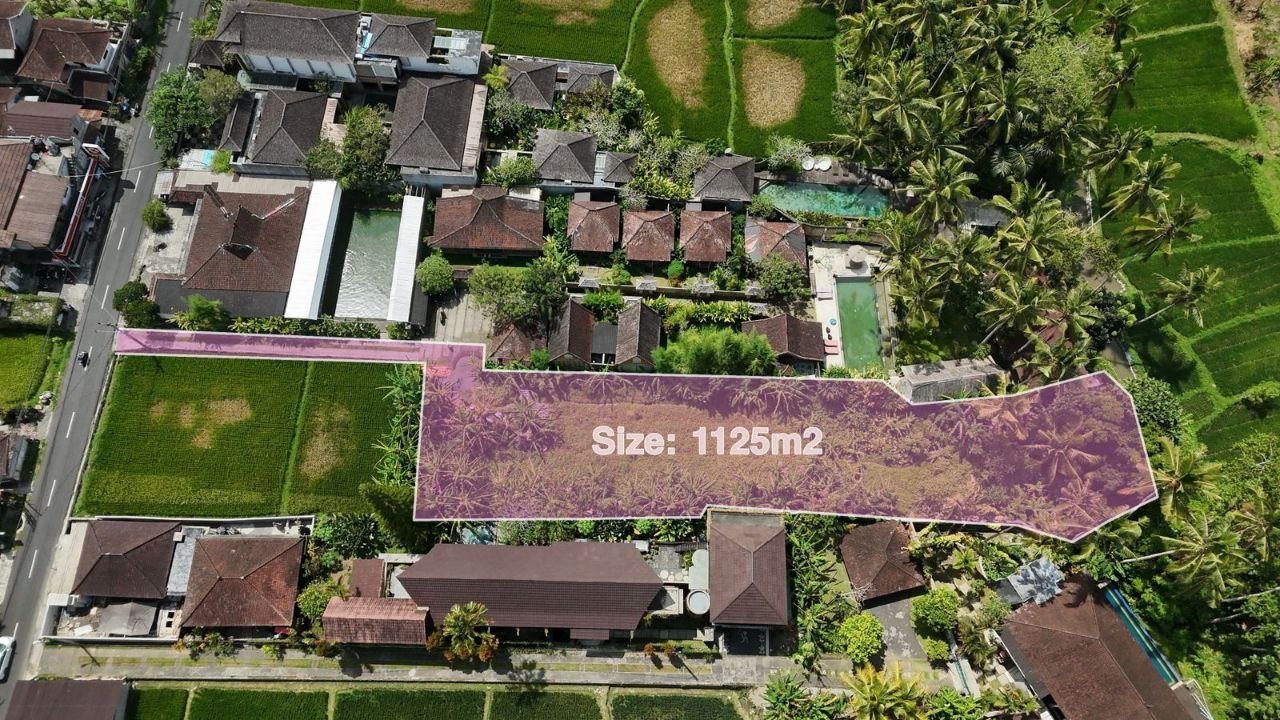 Rare Pink Zone Land 1.125 m² Dijual di Ubud – Rice Field View, Rp 750 Juta/Are