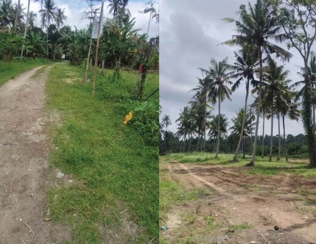 Tanah Premium 5 Hektare Dijual di Sayan Ubud – Rp 650 Juta/Are