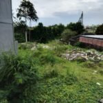 Tanah Premium 11,85 Are Dijual di Canggu – ITR Kuning