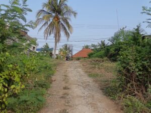 LAHAN STRATEGIS TABANAN JALUR DENPASAR–GILIMANUK – ±6 HA